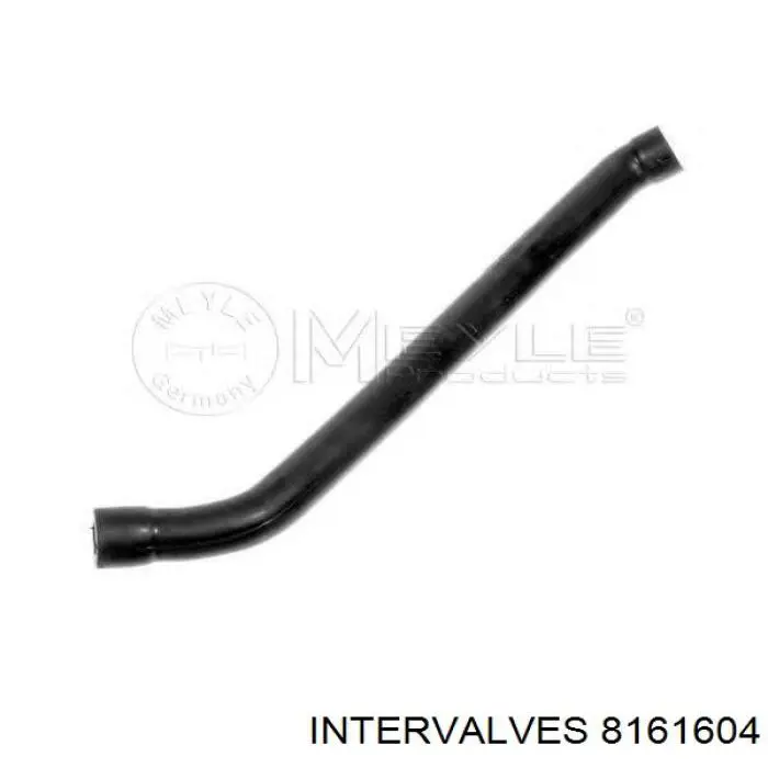 8161604 Intervalves guía de válvula