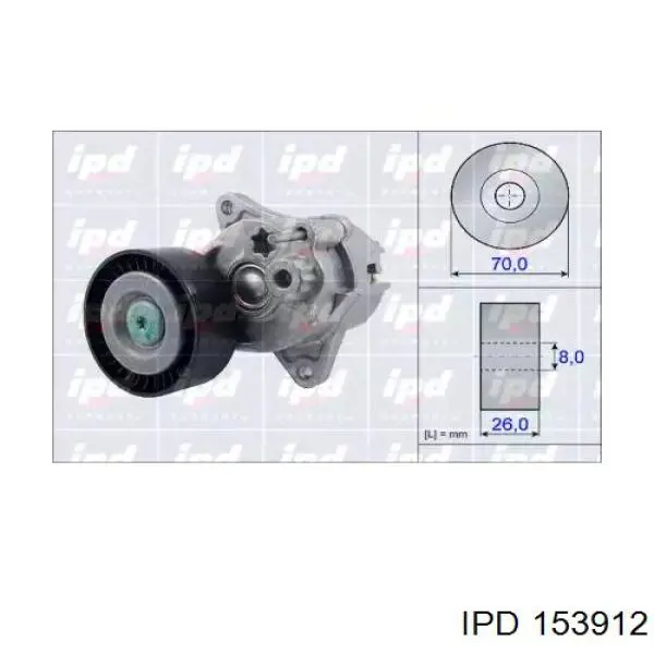 Comprar 153912 IPD Tensor de la correa trapecial