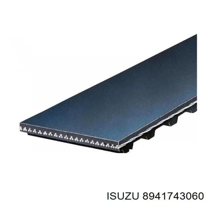 8941743060 Isuzu correa distribucion