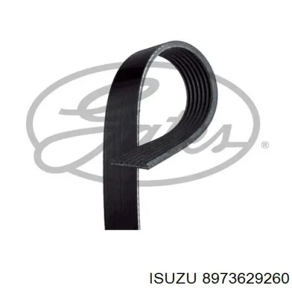 8973629260 Isuzu Correa poly v