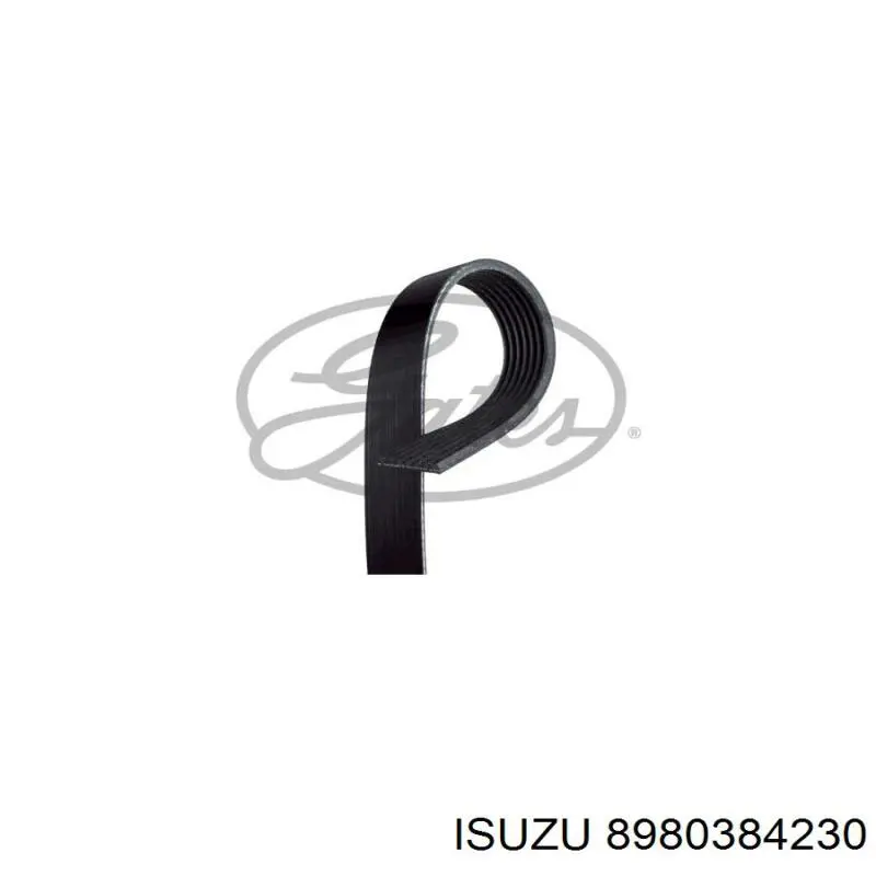 Correa de alternador 8980384230 Isuzu