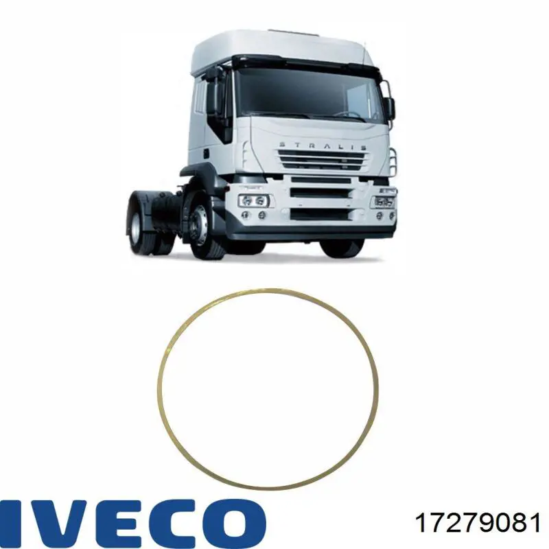 17279081 Iveco