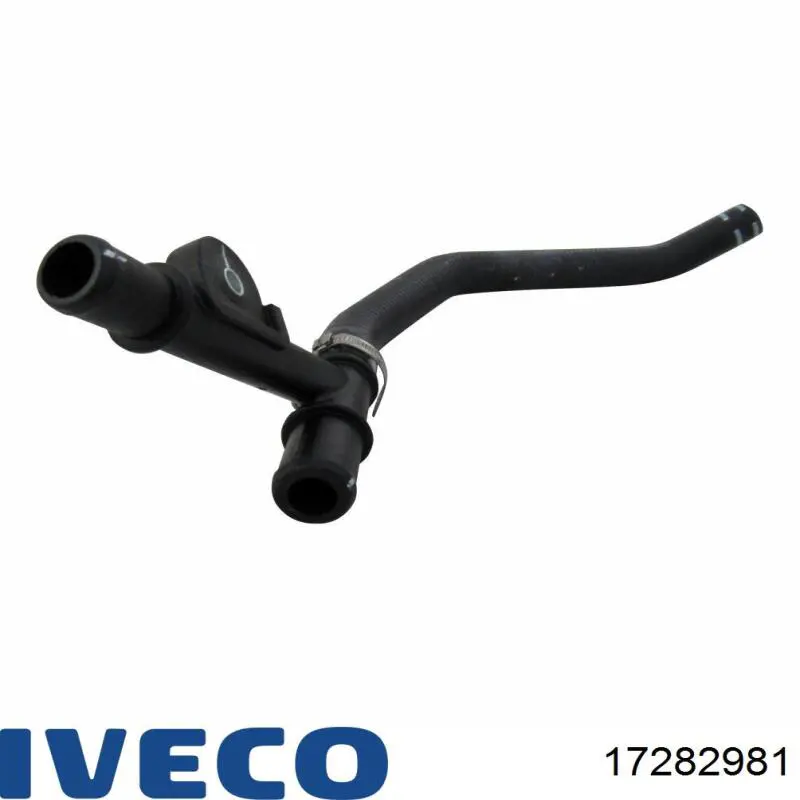 17282981 Iveco 