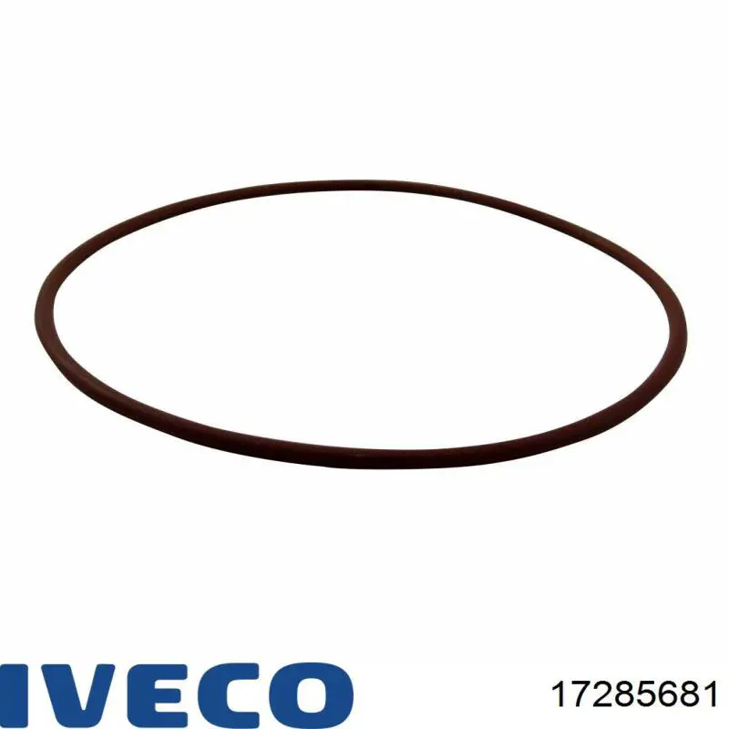 17285681 Iveco