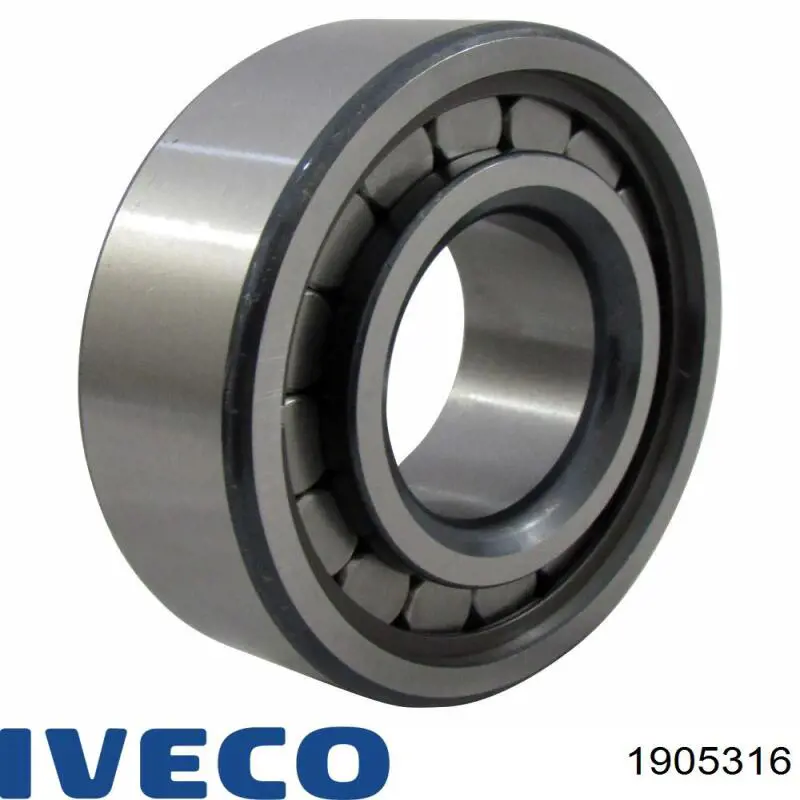 Cojinete del diferencial del eje trasero 1905316 Iveco