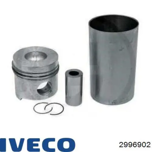 2996902 Iveco