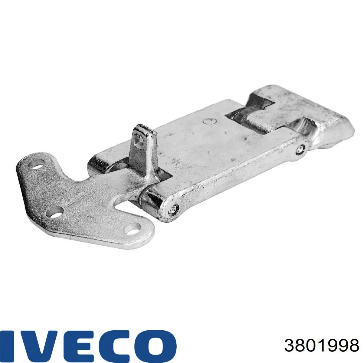 504027554 Iveco bisagra de la puerta trasera (giratoria)