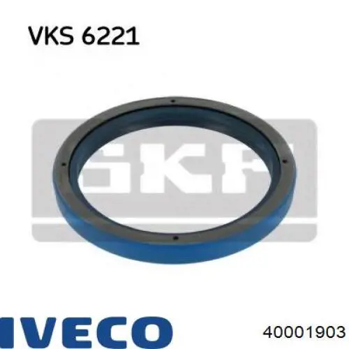 40001903 Iveco anillo reten de transmision