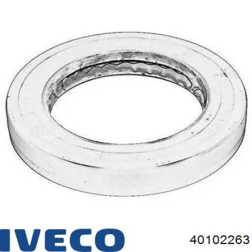 Retén del piñón del diferencial trasero 40102263 Iveco