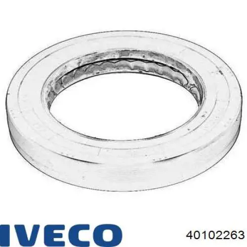 Retén del piñón del diferencial trasero Iveco 7185870 precio, desde 30,33 EUR