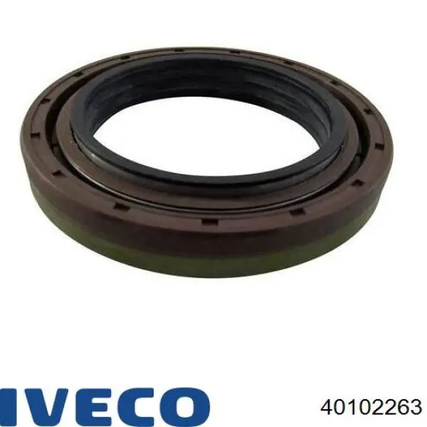7185870 Iveco Retén del piñón del diferencial trasero