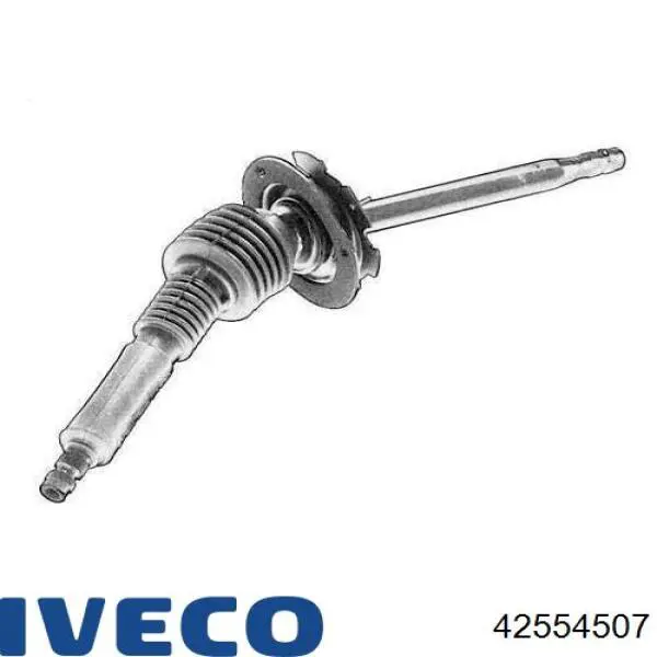 42554507 Iveco