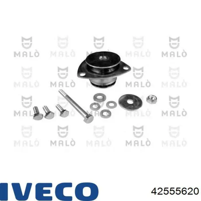 42555620 Iveco cojinete de cabina