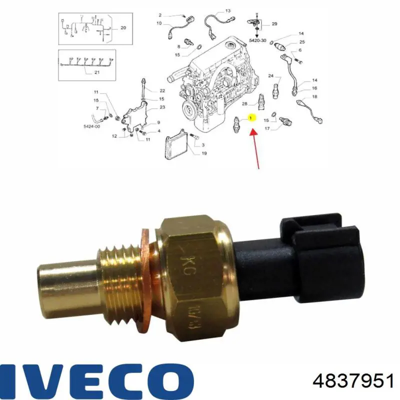 Sensor de temperatura 4837951 Iveco