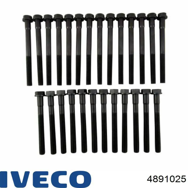 4891025 Iveco Pernos de culata