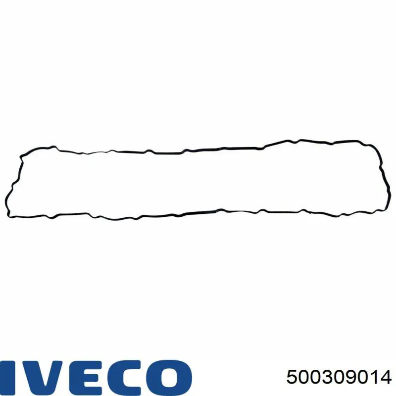 500309014 Iveco