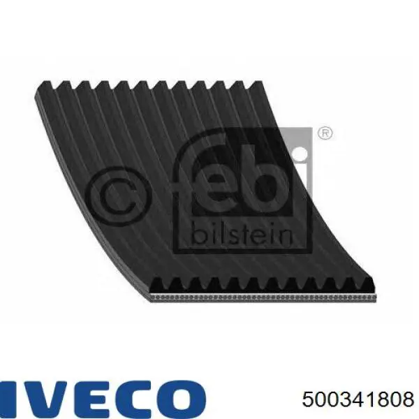 Correa de alternador 500341808 Iveco