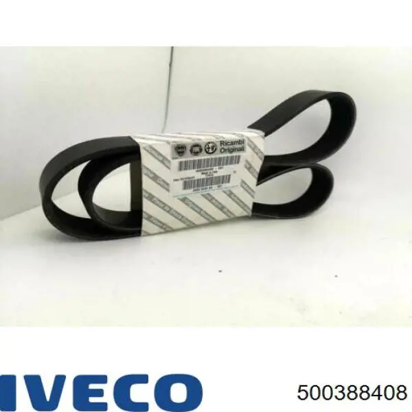 500388408 Iveco correa trapezoidal