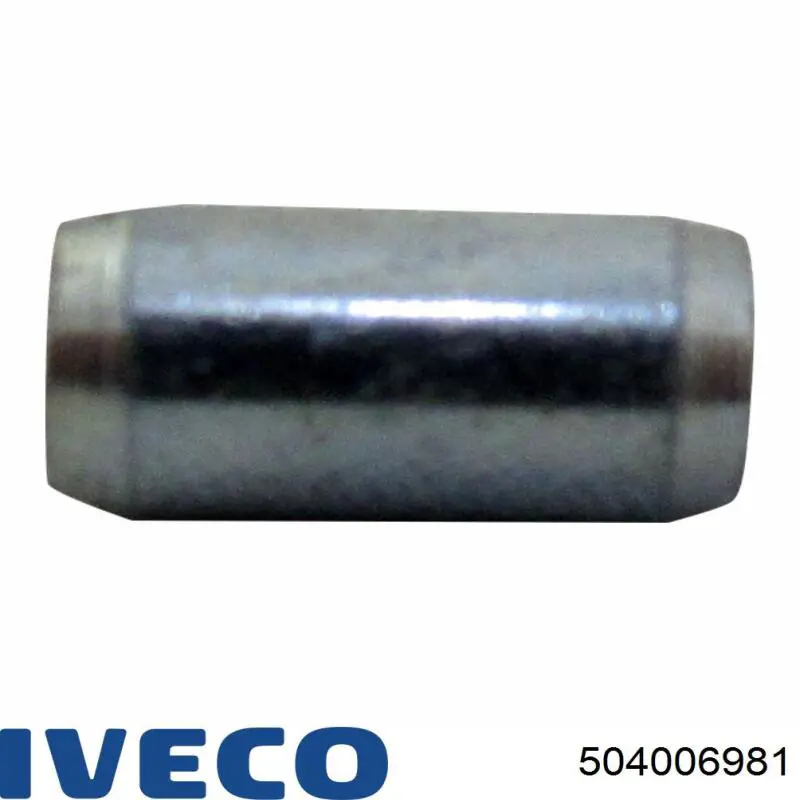 504006981 Iveco