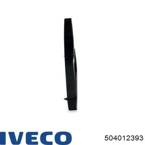 504012393 Iveco correa trapezoidal