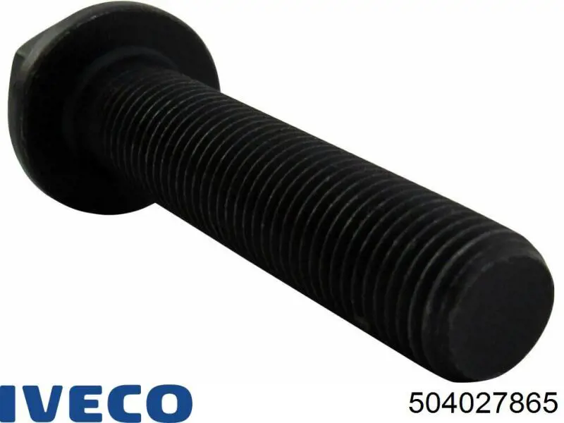 504027865 Iveco Perno de volante de inercia