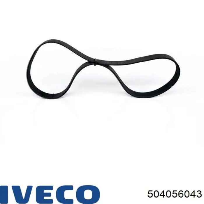 504056043 Iveco correa trapezoidal