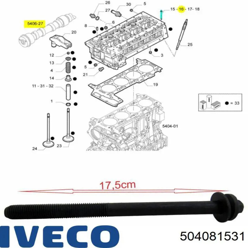 504081531 Iveco