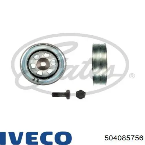 504085756 Iveco Dámper