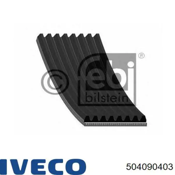 504090403 Iveco Correa poly v