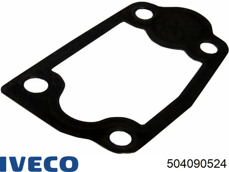 504090524 Iveco