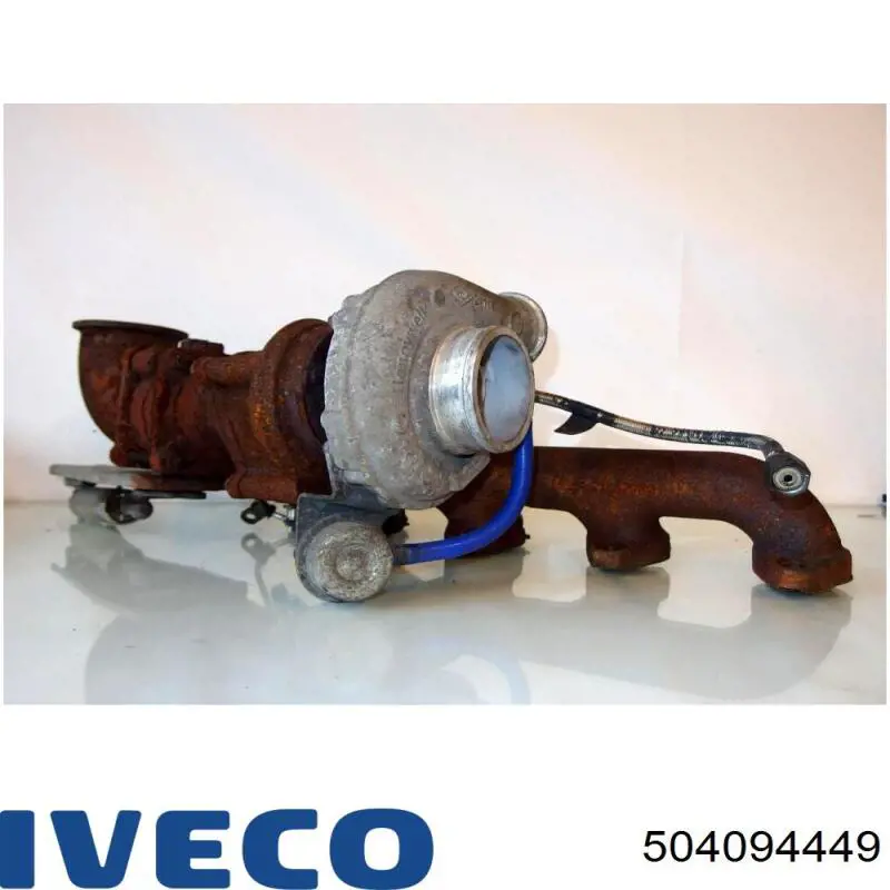 504094449 Iveco