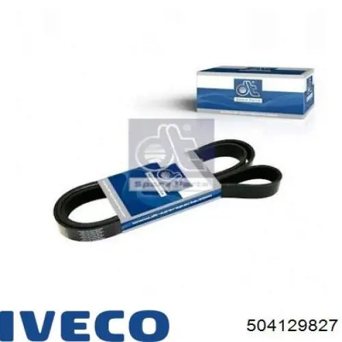 504129827 Iveco correa trapezoidal