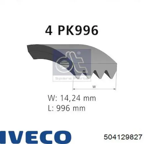 504129827 Iveco Correa poly v