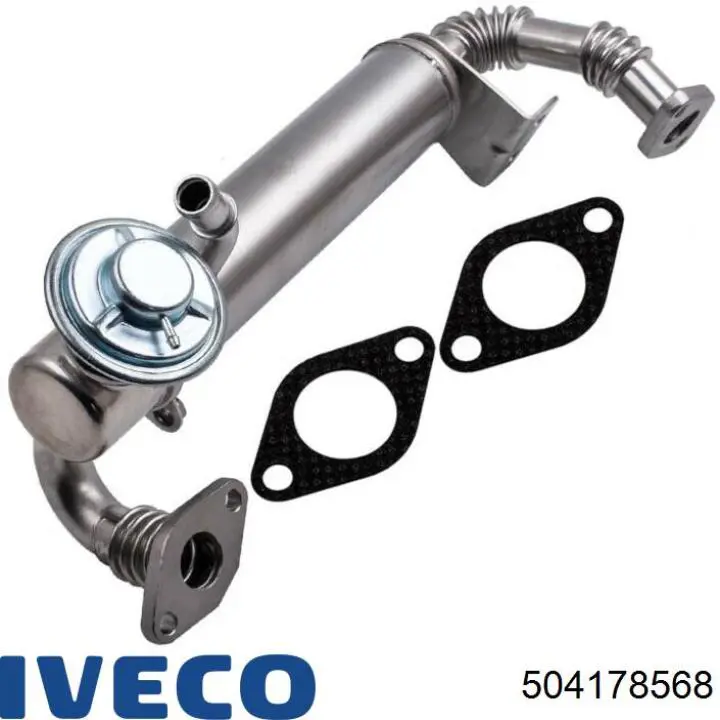 504178568 Iveco