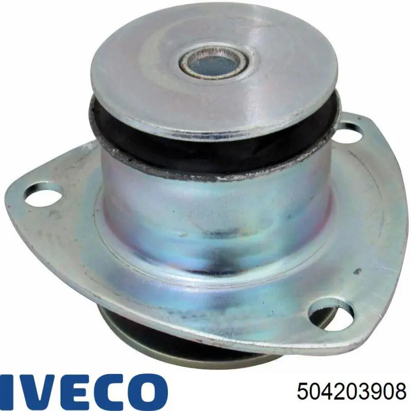 504203908 Iveco