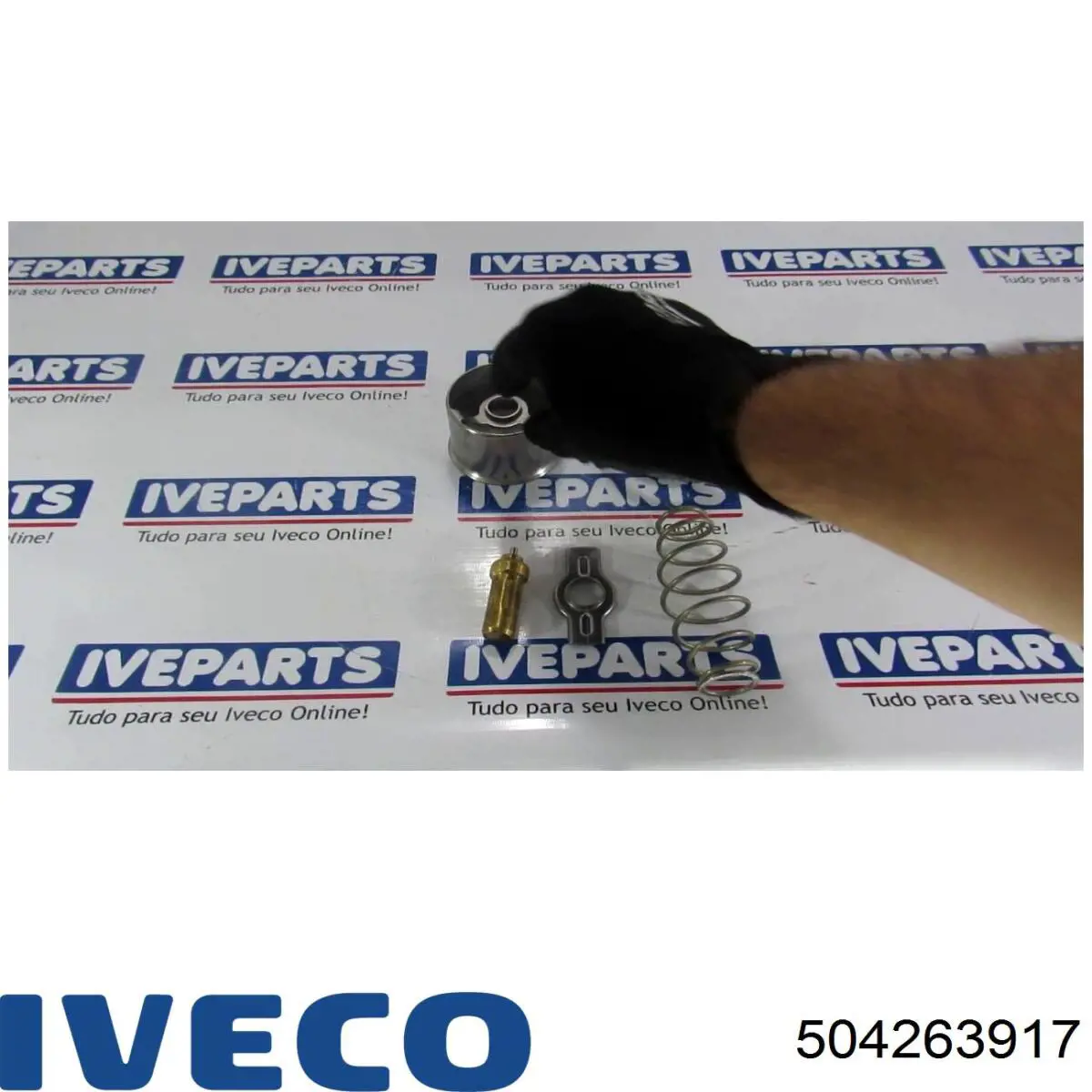 Termostato 504263917 Iveco