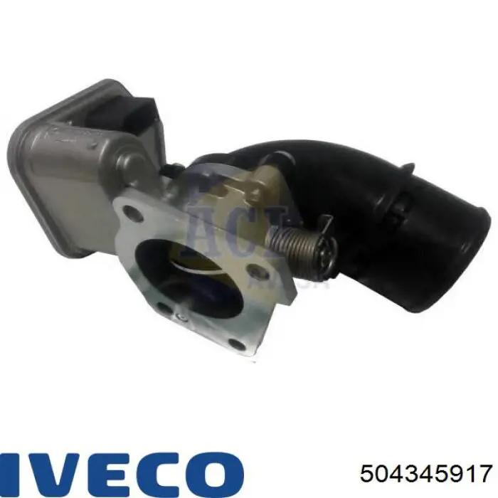 Cuerpo de mariposa 504345917 Iveco