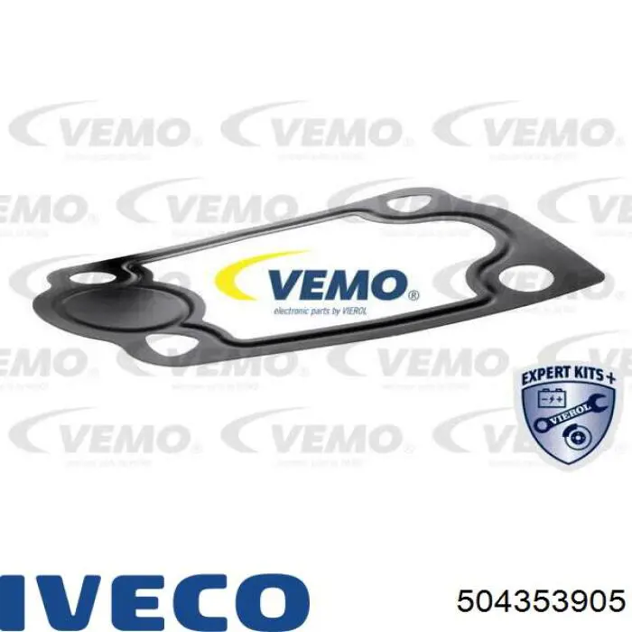 504353905 Iveco