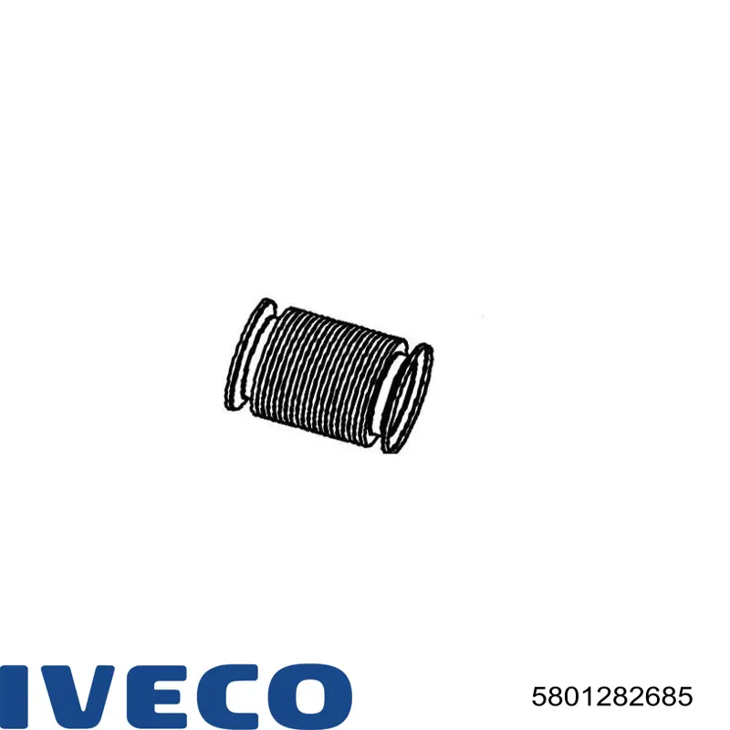 5802009667 Iveco Tubo ondulado de escape