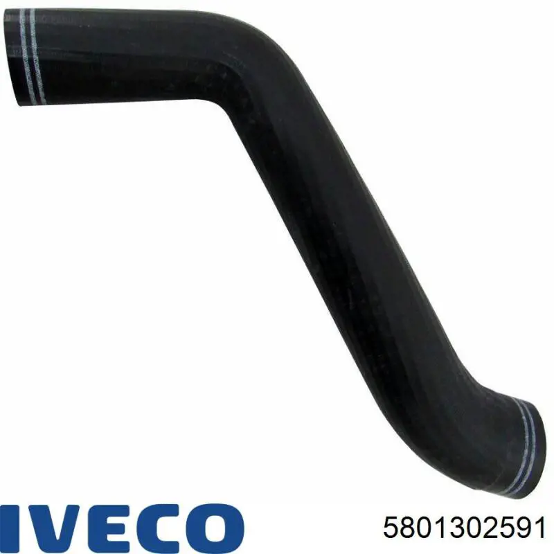  Iveco 5801302591 precio, desde 55,10 EUR