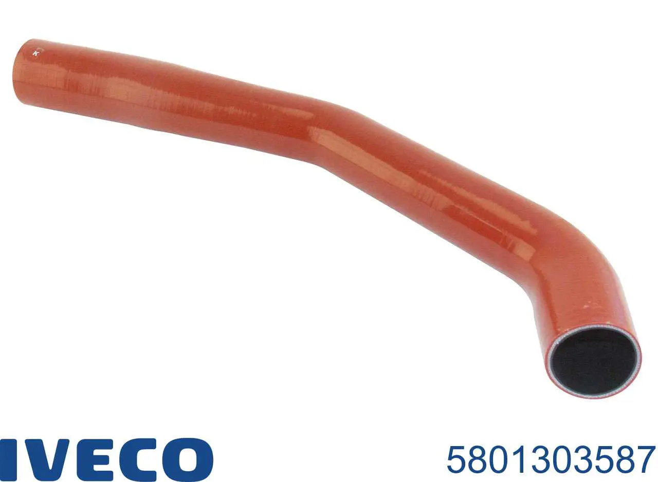 Tubo flexible de aire de sobrealimentación derecho para Iveco Daily 