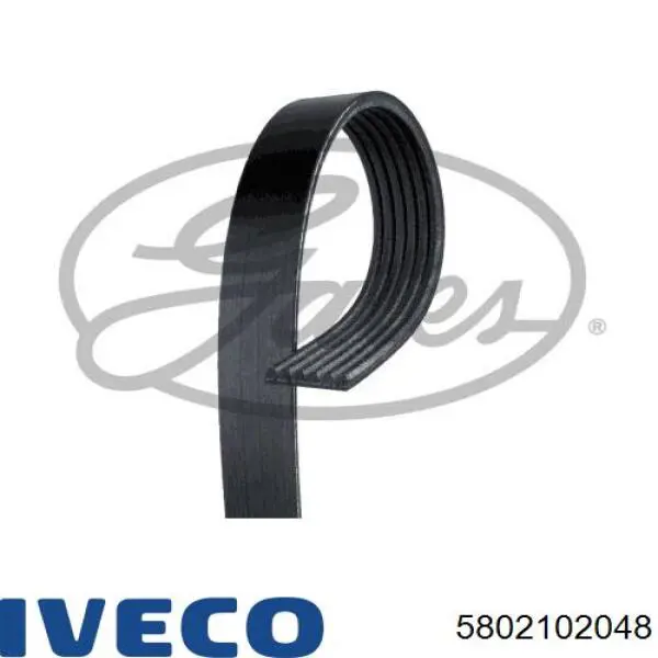 Correa de alternador 5802102048 Iveco