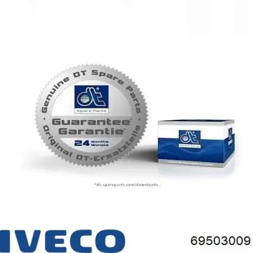 Luz central de freno Iveco Daily IV (2006-2011)