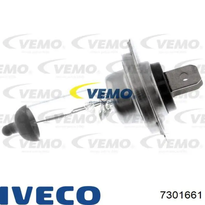 7301661 Iveco tensor correa distribución