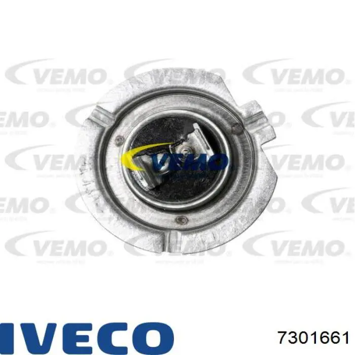 7301661 Iveco Rodillo de cadena