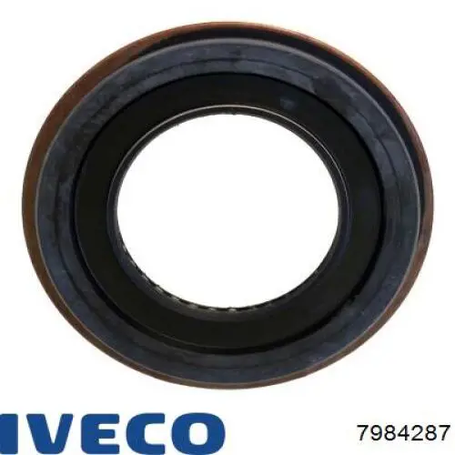 7984287 Iveco