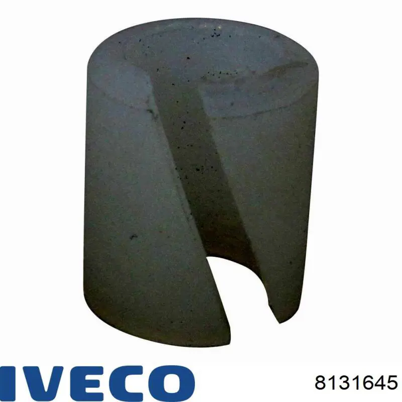 8131645 Iveco