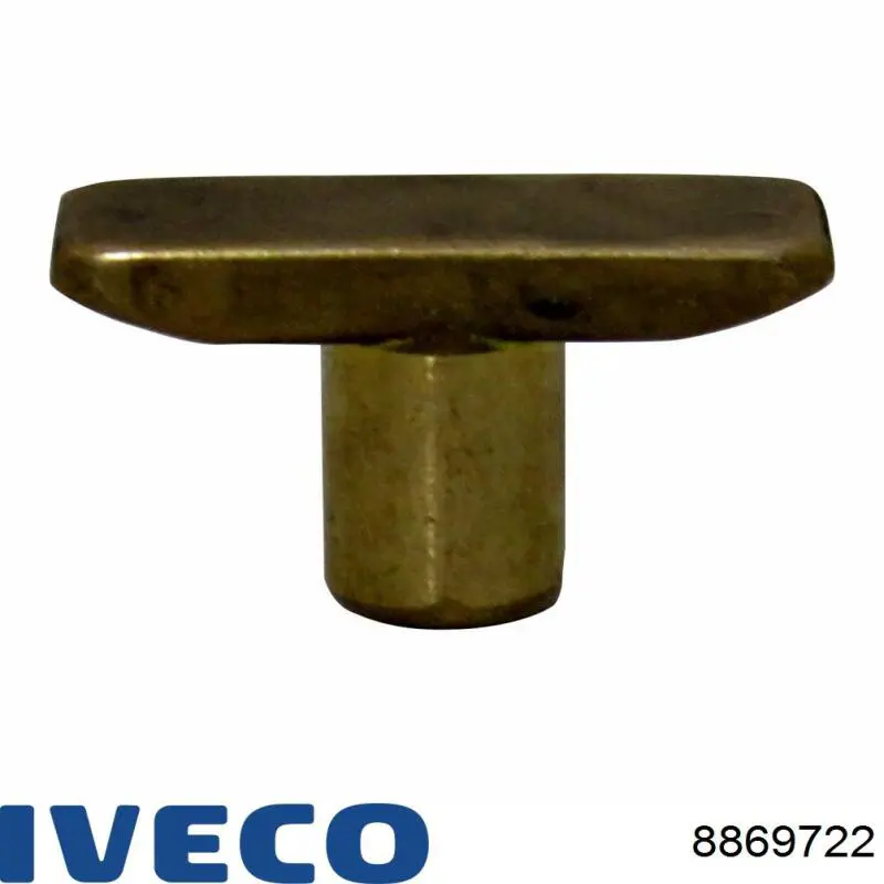 8869722 Iveco