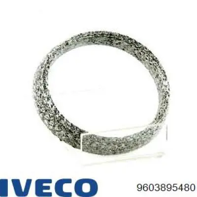 9603895480 Iveco