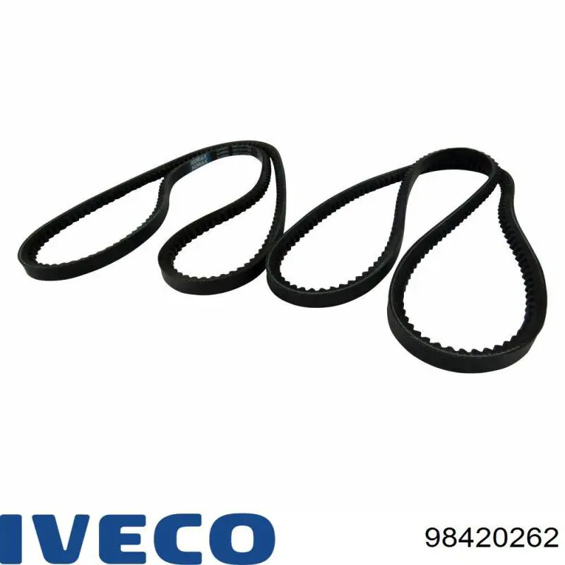 98420262 Iveco Correa poly v